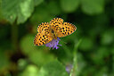 BUITEN BEELD Foto: 436733