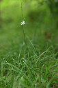 BUITEN BEELD Foto: 436739