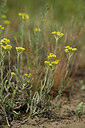 BUITEN BEELD Foto: 436743