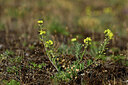 BUITEN BEELD Foto: 436748