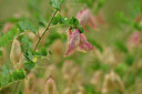 BUITEN BEELD Foto: 436749