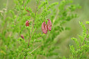 BUITEN BEELD Foto: 436757