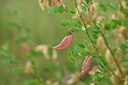 BUITEN BEELD Foto: 436762