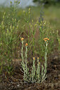 BUITEN BEELD Foto: 436763