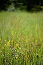 BUITEN BEELD Foto: 436765