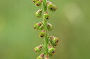 BUITEN BEELD Foto: 436768