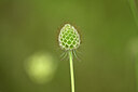 BUITEN BEELD Foto: 436769