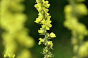BUITEN BEELD Foto: 436770