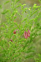 BUITEN BEELD Foto: 436771