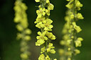 BUITEN BEELD Foto: 436772