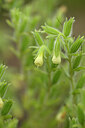 BUITEN BEELD Foto: 436773