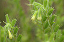 BUITEN BEELD Foto: 436774