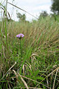 BUITEN BEELD Foto: 436775