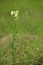 BUITEN BEELD Foto: 436778