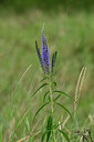 BUITEN BEELD Foto: 436780