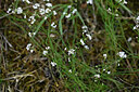 BUITEN BEELD Foto: 436782