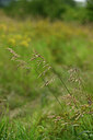 BUITEN BEELD Foto: 436783
