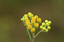 BUITEN BEELD Foto: 436786