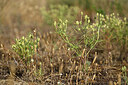 BUITEN BEELD Foto: 436787