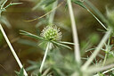 BUITEN BEELD Foto: 436790