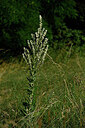 BUITEN BEELD Foto: 436792