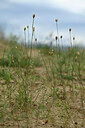 BUITEN BEELD Foto: 436793
