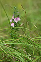 BUITEN BEELD Foto: 436801