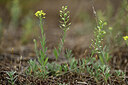 BUITEN BEELD Foto: 436804