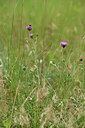 BUITEN BEELD Foto: 436821