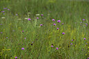 BUITEN BEELD Foto: 436825