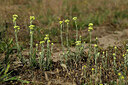 BUITEN BEELD Foto: 436837