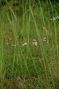 BUITEN BEELD Foto: 436846