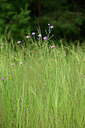 BUITEN BEELD Foto: 436849