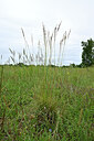 BUITEN BEELD Foto: 436856