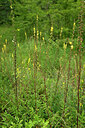 BUITEN BEELD Foto: 436858