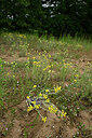 BUITEN BEELD Foto: 436860
