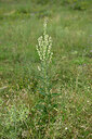 BUITEN BEELD Foto: 436862