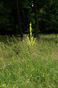 BUITEN BEELD Foto: 436869
