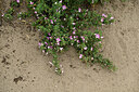 BUITEN BEELD Foto: 436871