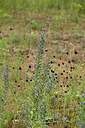 BUITEN BEELD Foto: 436873