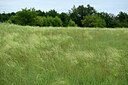 BUITEN BEELD Foto: 436880