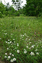 BUITEN BEELD Foto: 436883