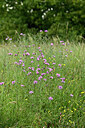 BUITEN BEELD Foto: 436885