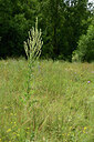 BUITEN BEELD Foto: 436887