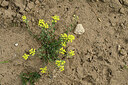 BUITEN BEELD Foto: 436893