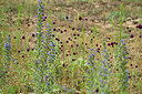 BUITEN BEELD Foto: 436898