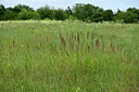 BUITEN BEELD Foto: 436900