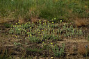 BUITEN BEELD Foto: 436902