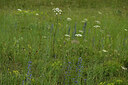 BUITEN BEELD Foto: 436903