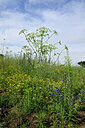 BUITEN BEELD Foto: 436904